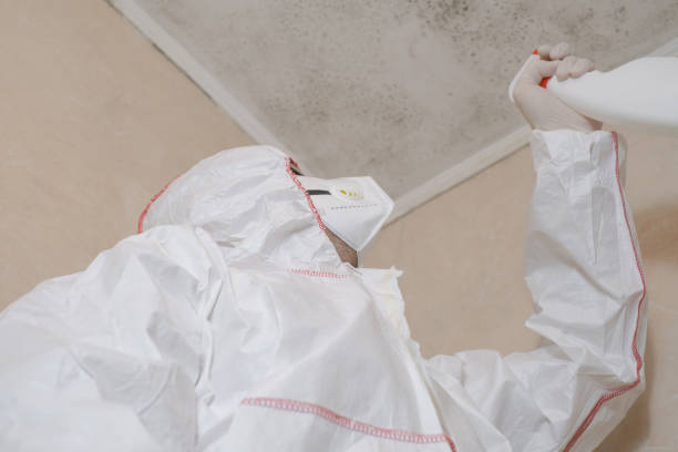 Best Affordable Mold Removal  in Hebron, OH