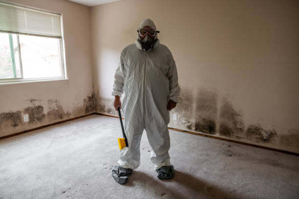 Best Residential Mold Removal  in Hebron, OH